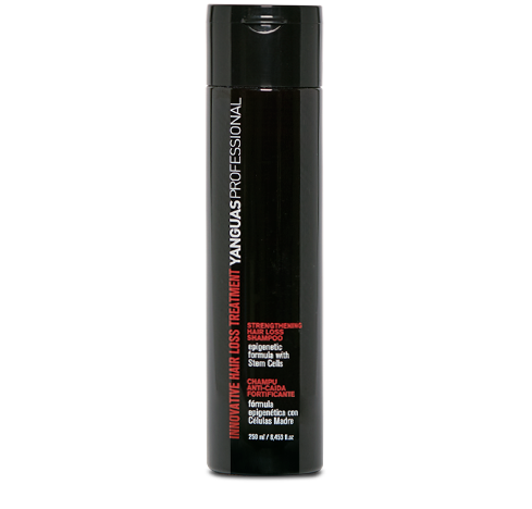Champú Fortificante Anticaida - HAIR LOSS TREATMENT
